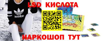 Альфа ПВП Заволжье