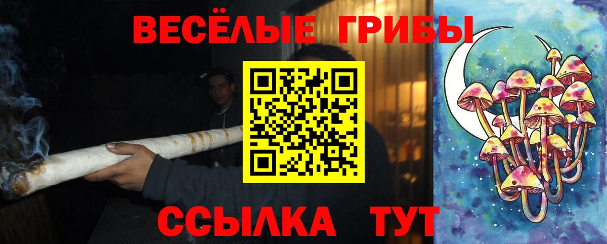 дарнет шоп  Псилоцибиновые грибы MAGIC MUSHROOMS  Вход с VPN  Кинешма 